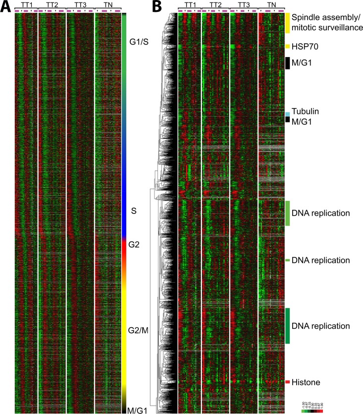 FIGURE 2: