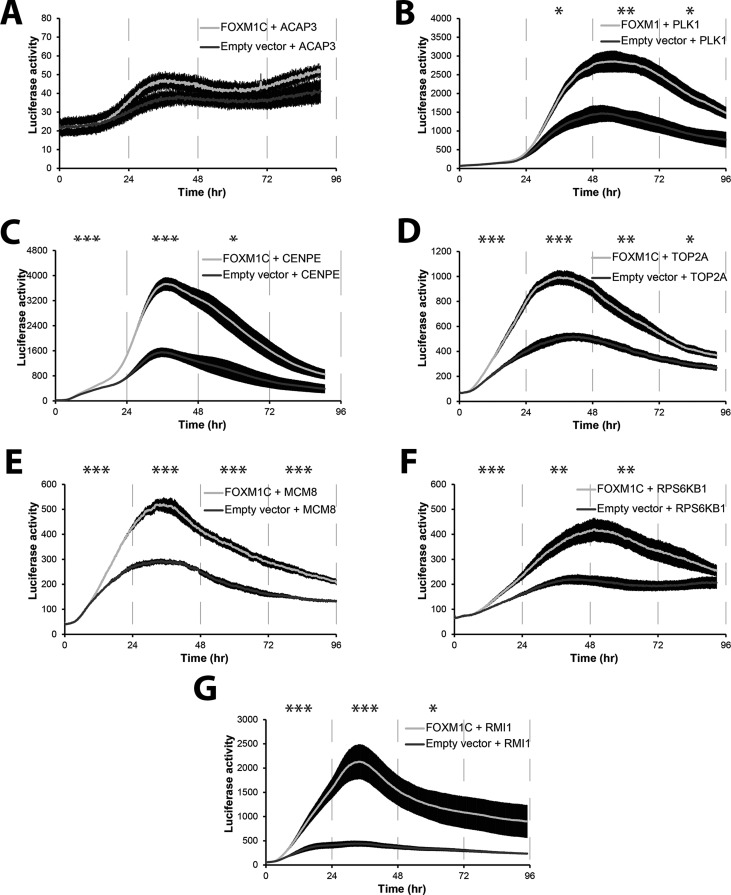 FIGURE 5: