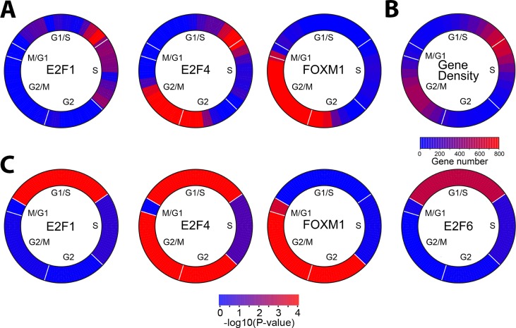 FIGURE 7: