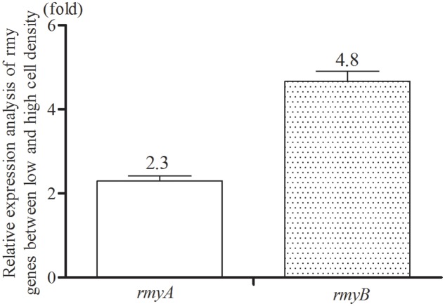 FIGURE 3