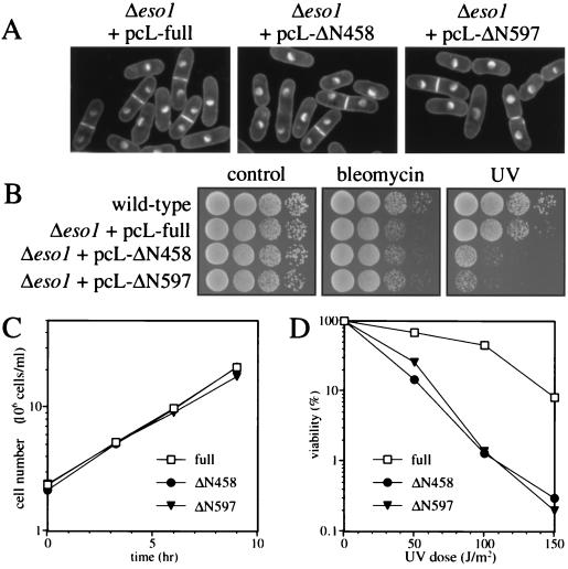 FIG. 7