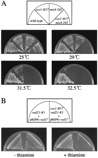 FIG. 8