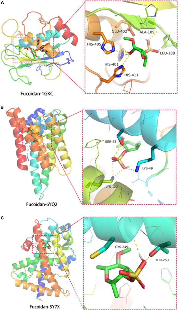 FIGURE 3