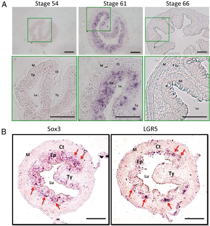 Figure 5.