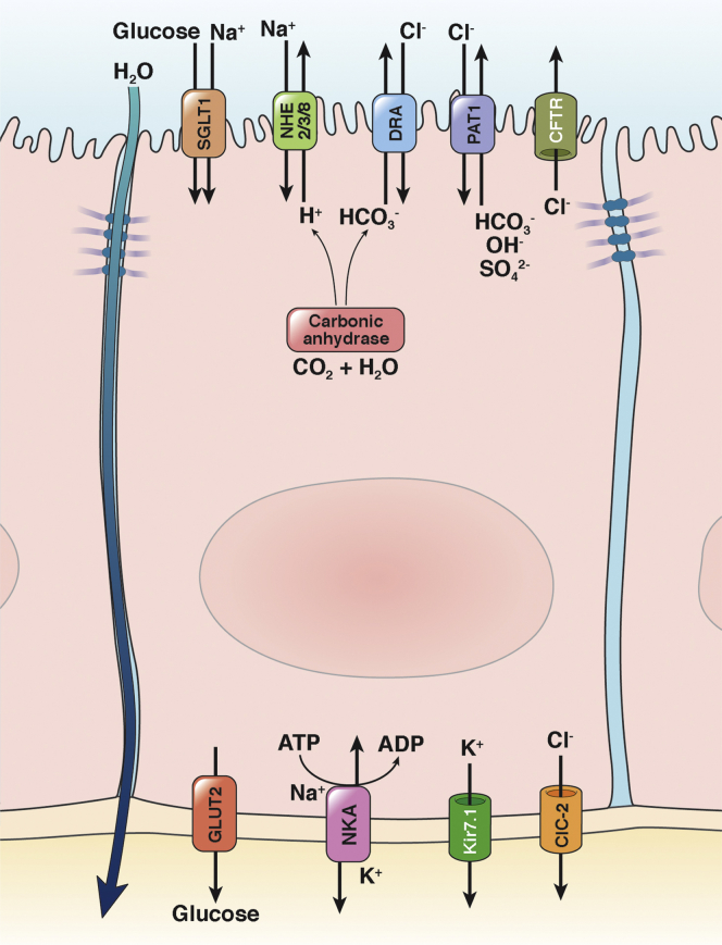 Figure 1