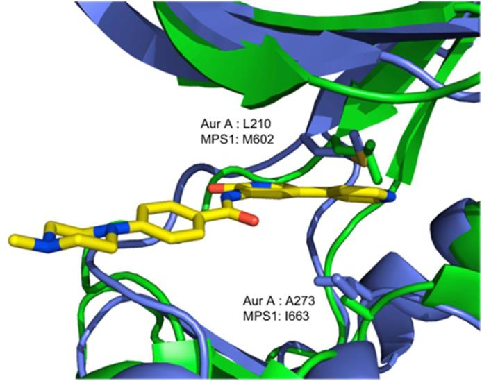 Fig. 8