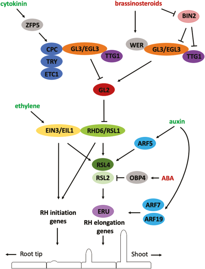 Fig. 2.