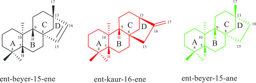 Chart 2