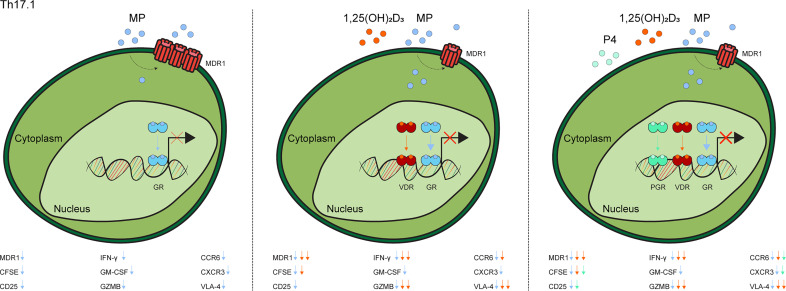 Figure 3