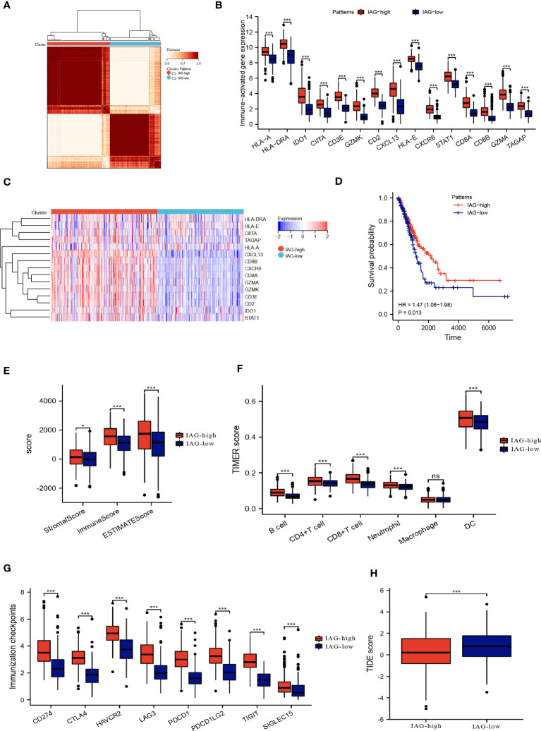 Figure 3