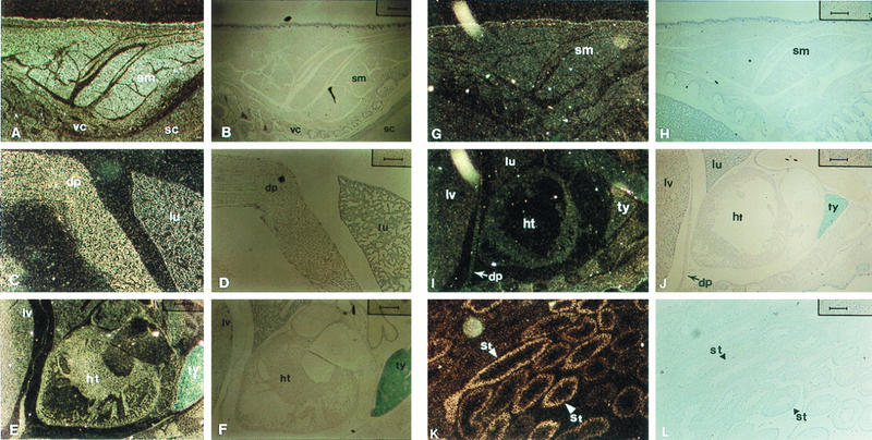 FIG. 5