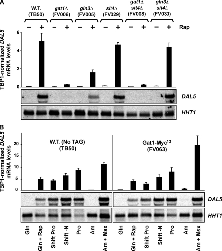 FIGURE 2.