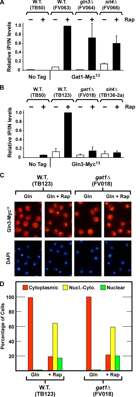 FIGURE 4.