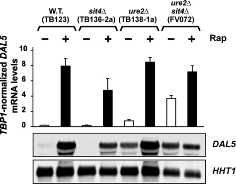 FIGURE 5.