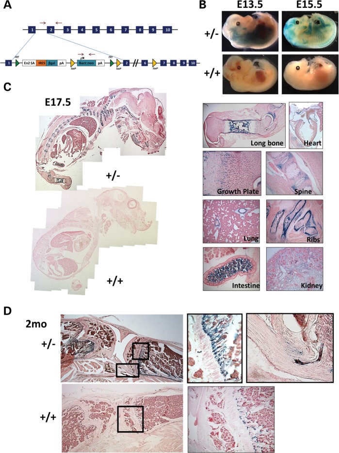 Figure 1.