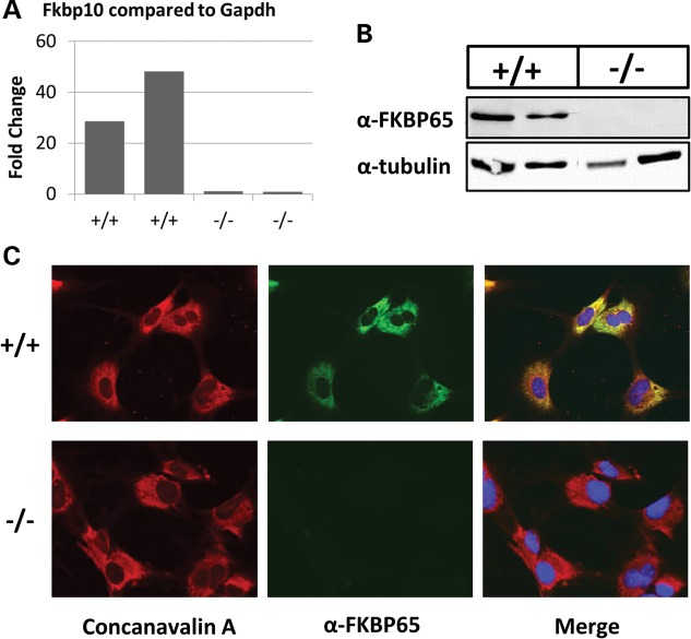 Figure 4.