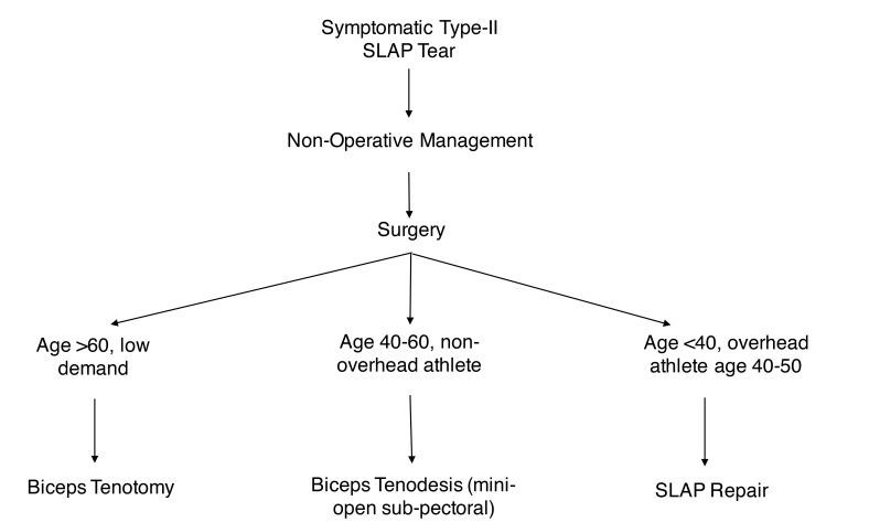 Fig. (1)