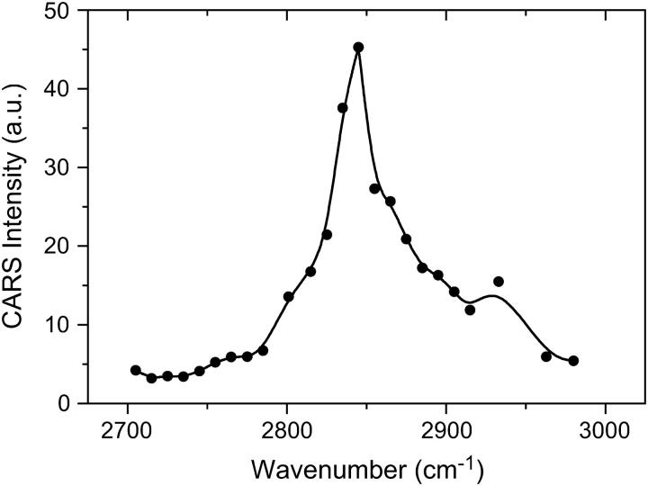 FIGURE 3