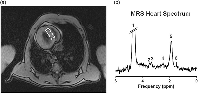 Fig. 4.