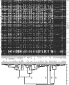F<sc>igure</sc> 1.—