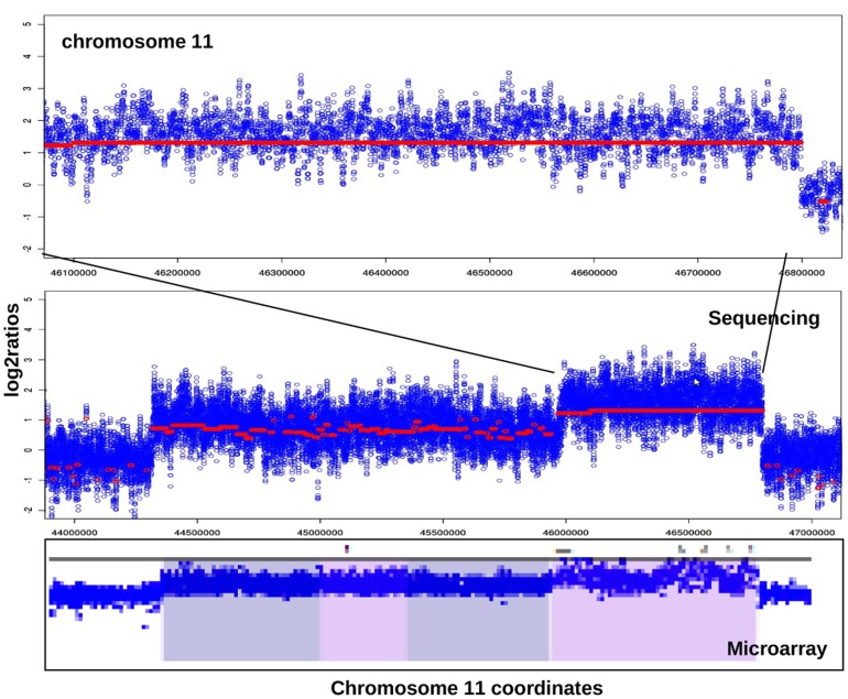 Figure 10