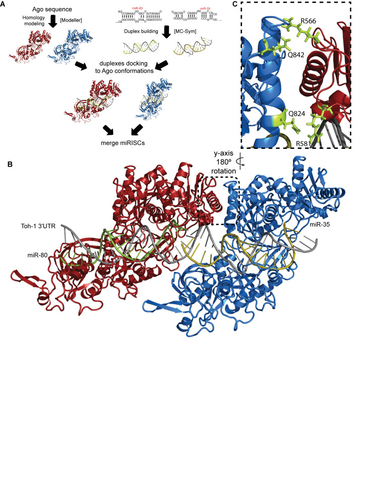 Figure 6.