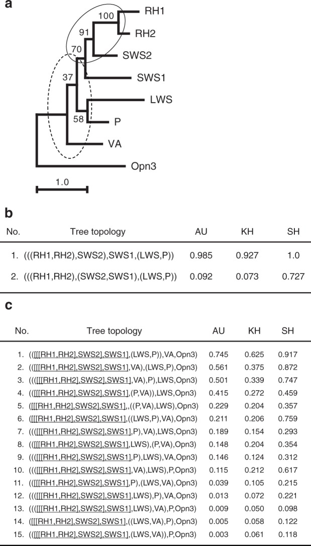 Fig. 4