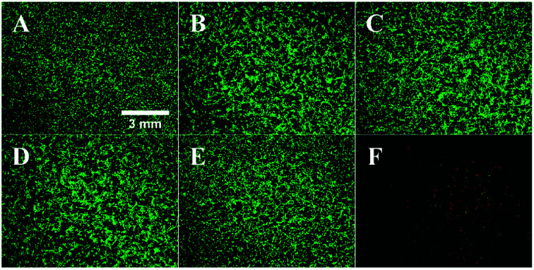 Fig. 11