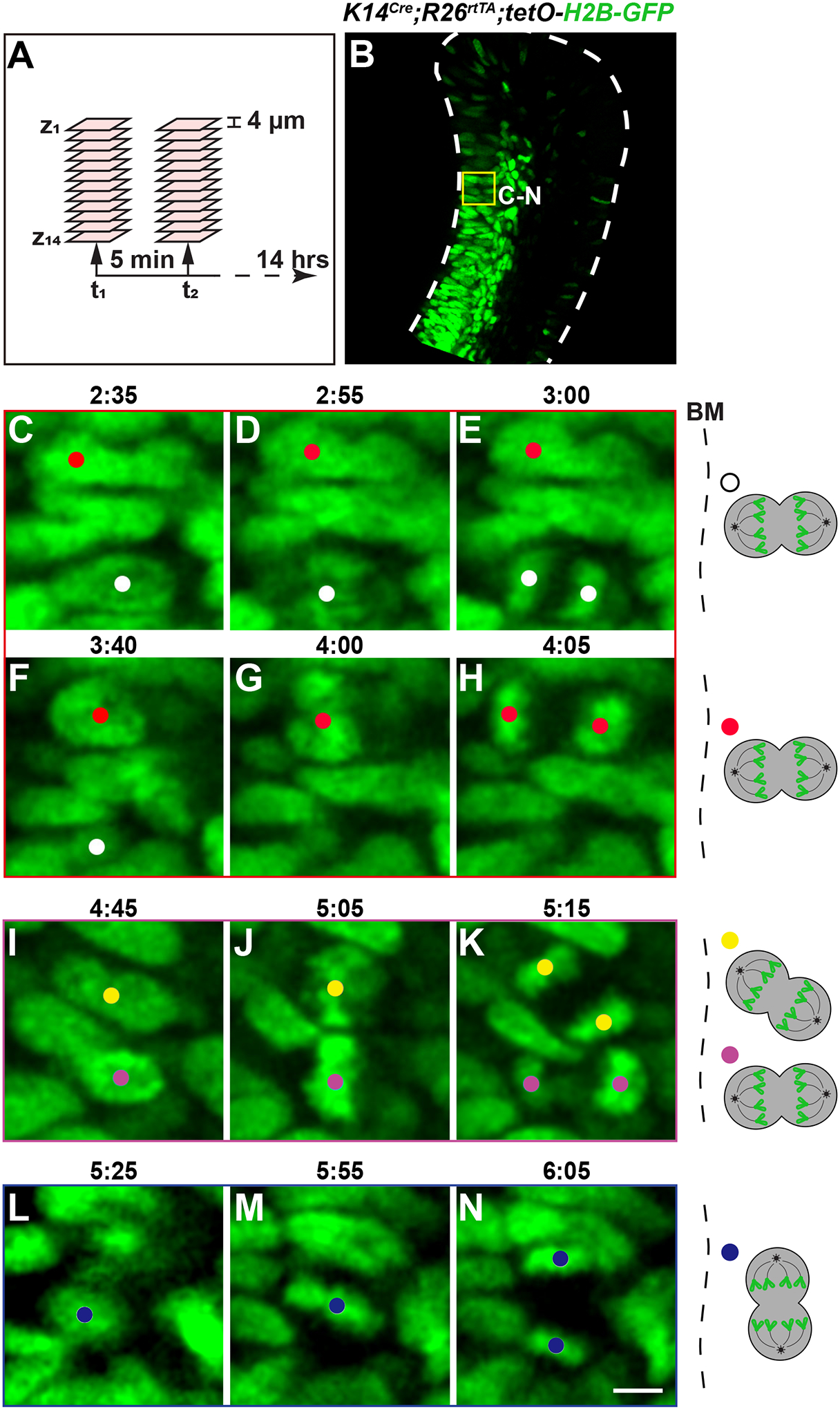 Figure 5: