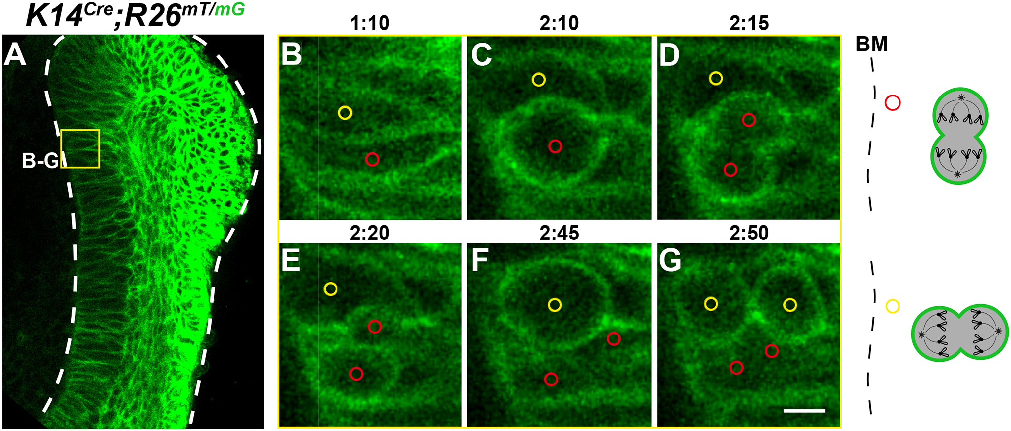 Figure 6: