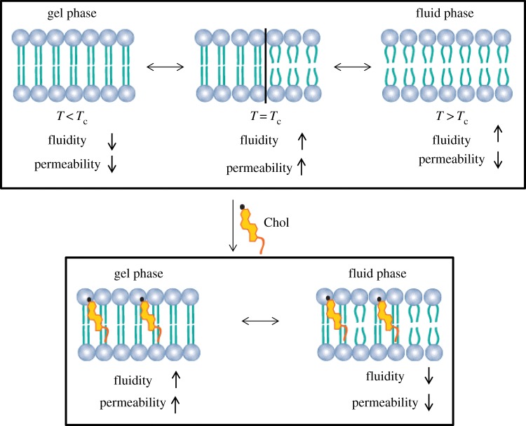 Figure 7.