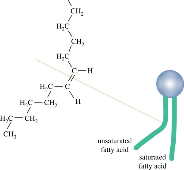 Figure 6.