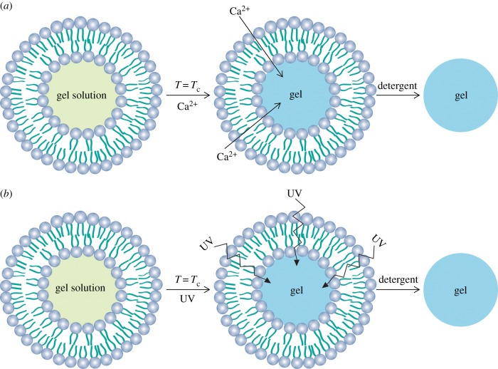 Figure 12.