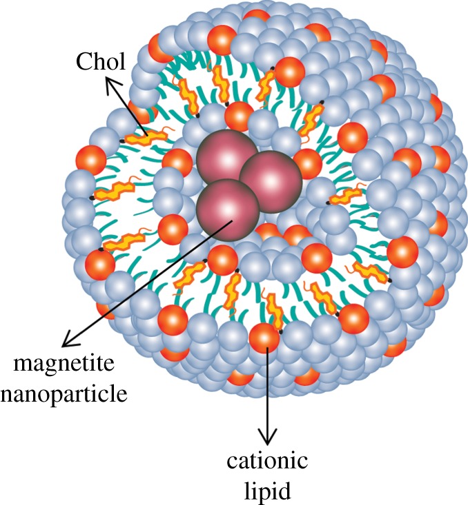 Figure 11.