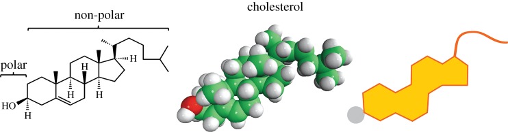 Figure 3.