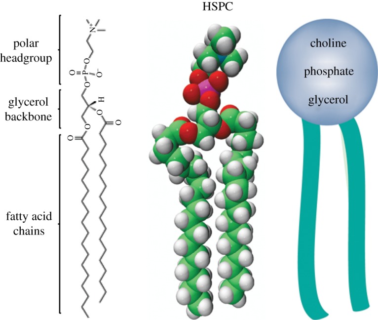 Figure 2.