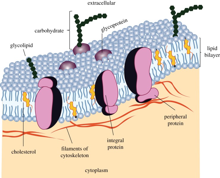 Figure 1.