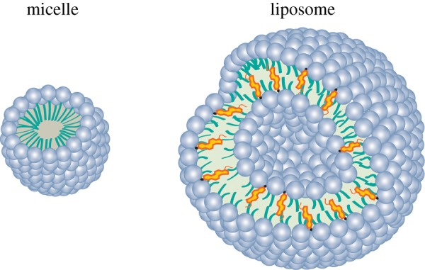 Figure 4.