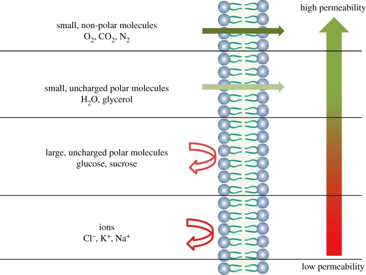 Figure 5.