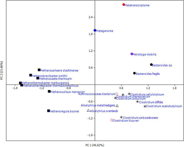 FIG 6