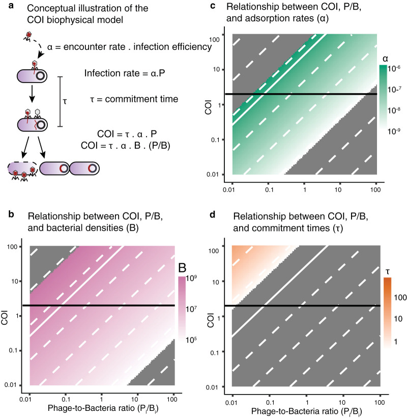 FIG 1