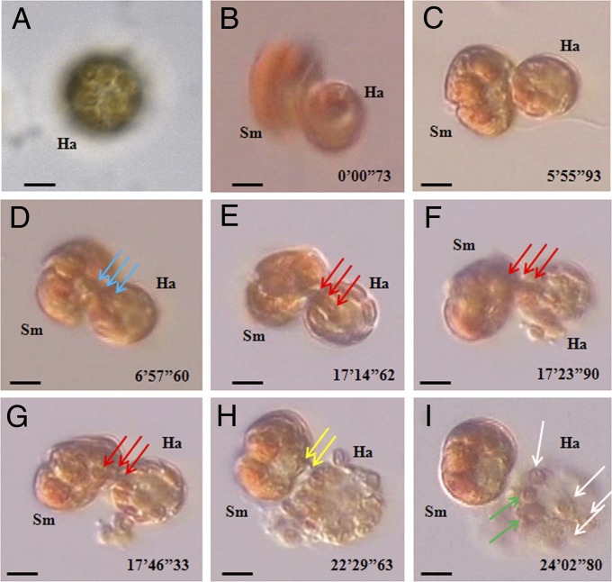 Fig. 3.