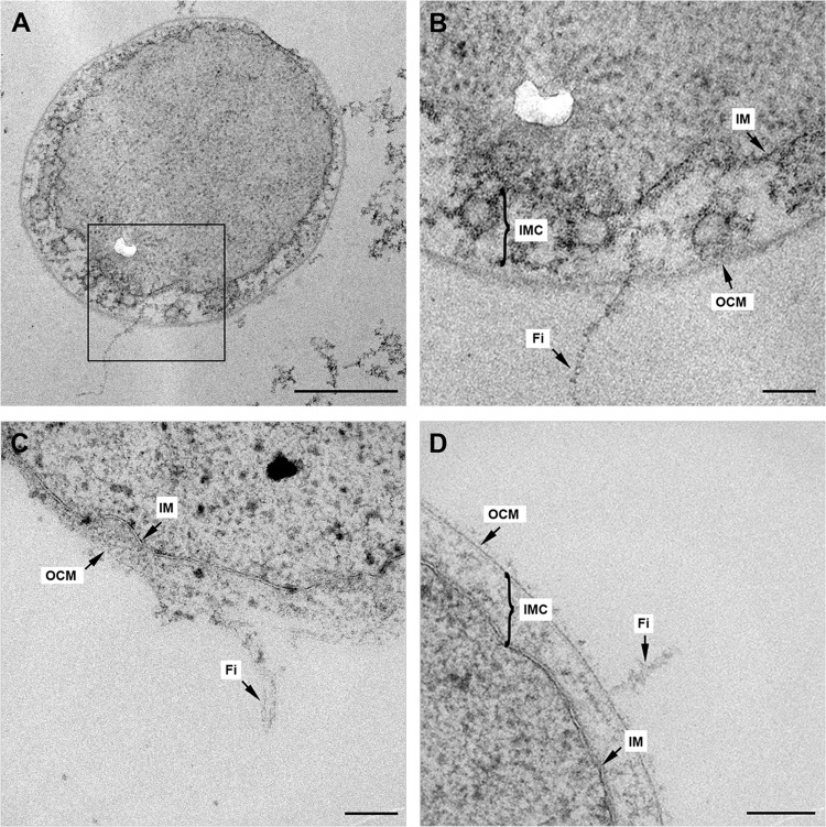 FIG 3