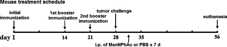 Fig. 6