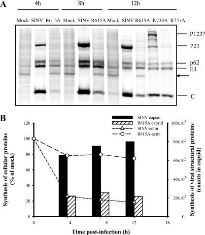 FIG. 6.