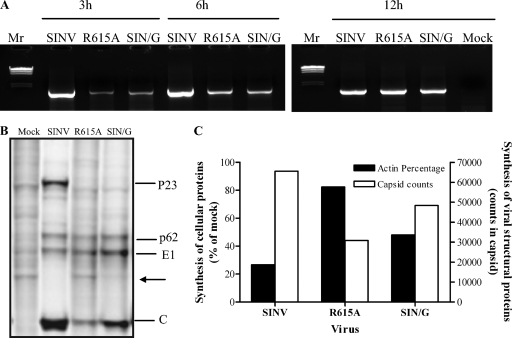 FIG. 7.