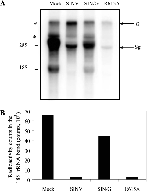 FIG. 8.