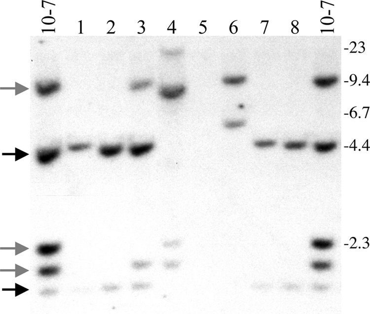 FIG. 6.