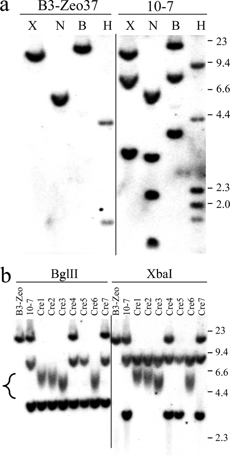 FIG. 4.