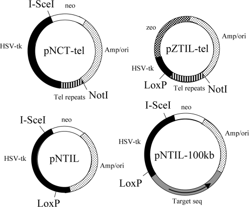 FIG. 1.